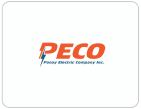 Panay Electric Company, Inc.