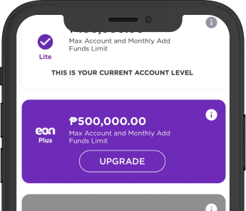 Tap the Upgrade icon.